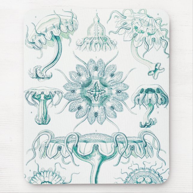 Mousepad Água-viva, Discomedusae por Ernst Haeckel (Frente)