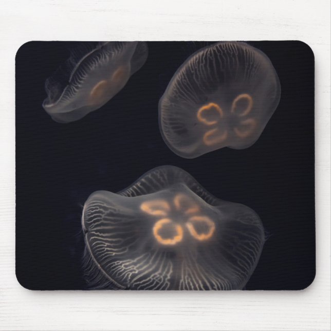 Mousepad Água-viva Lua Nadar (Frente)