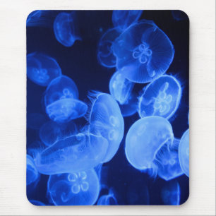 Mousepad água-viva, natureza, geleia marinha