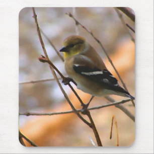 Mousepad Aguarela do Goldfinch
