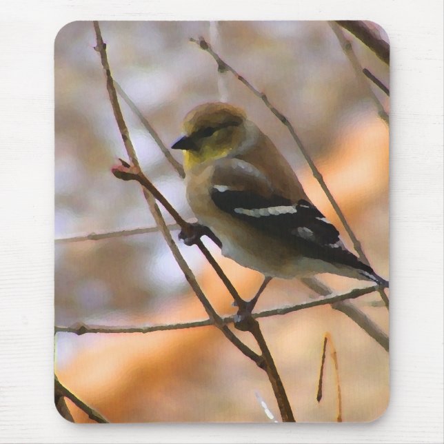 Mousepad Aguarela do Goldfinch (Frente)