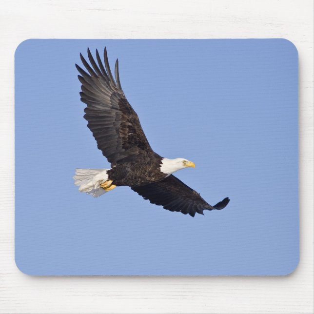 Mousepad Águia americana americana (Frente)