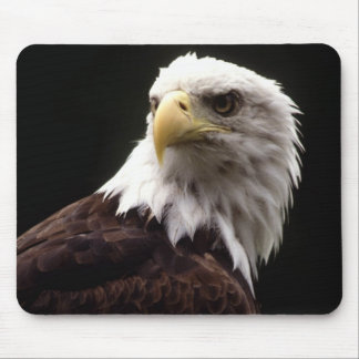 Mousepad Águia americana americana