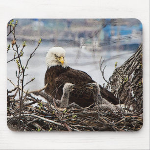 Mousepad Águia americana com eaglets