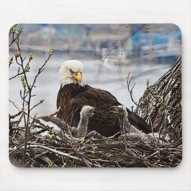 Mousepad Águia americana com eaglets (Frente)