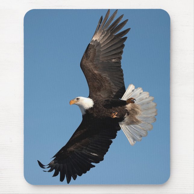 Mousepad Águia Americana em Voo (Frente)
