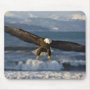 Mousepad Águia Americana, Haliaeetus leucocephalus, Homer,