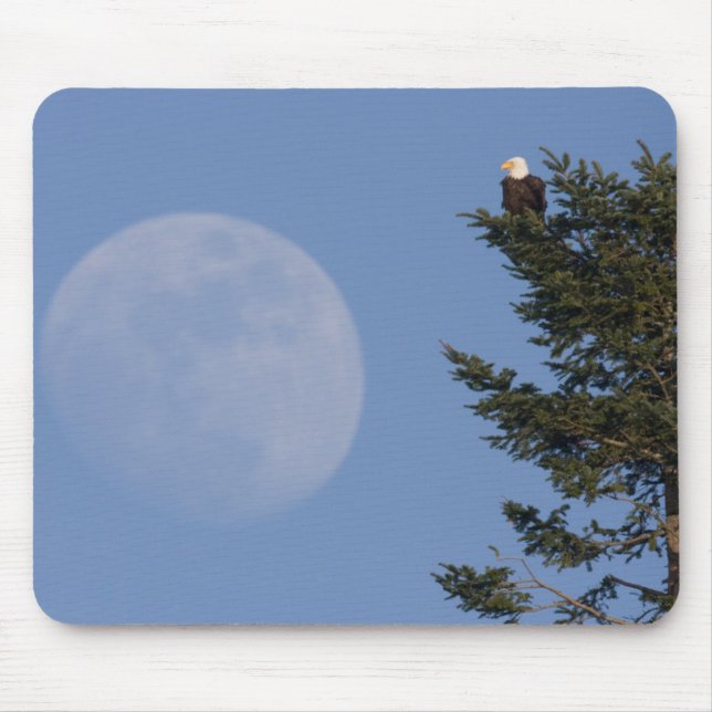 Mousepad Águia Americana | Lua Cheia Nascente (Frente)