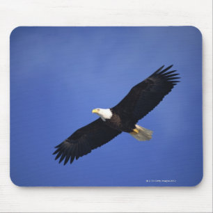 Mousepad Águia americana que sobe, Alaska