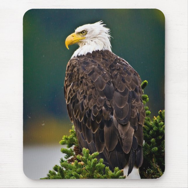 Mousepad Águia Bald Americana Perch (Frente)