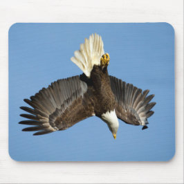 Mousepad Águia Balda mergulhando em direção à água
