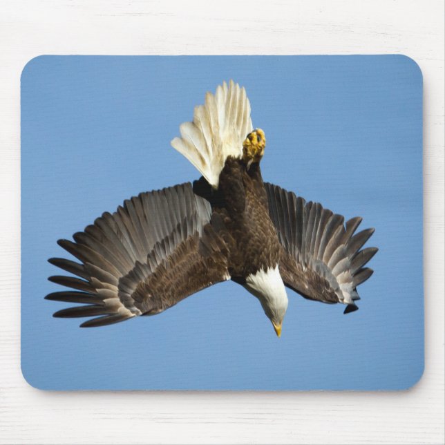 Mousepad Águia Balda mergulhando em direção à água (Frente)