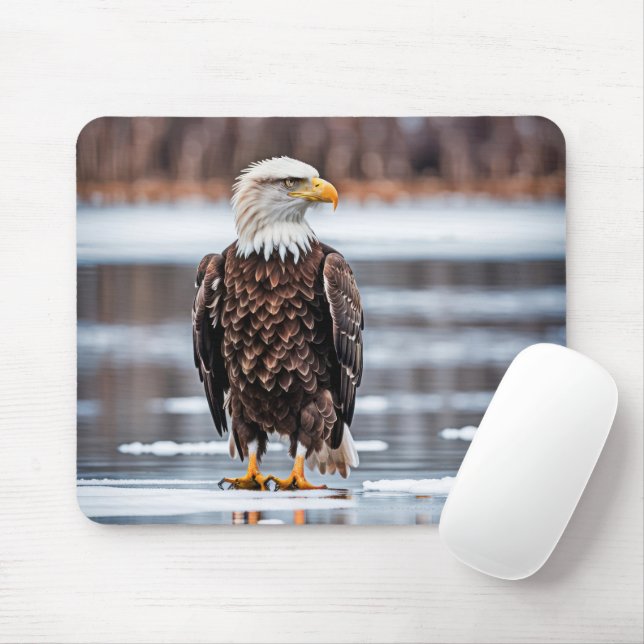 Mousepad Águia Balda No Lago Gelo (Com mouse)