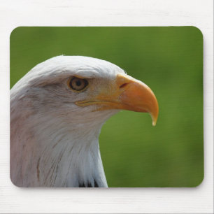 Mousepad Águia-careca