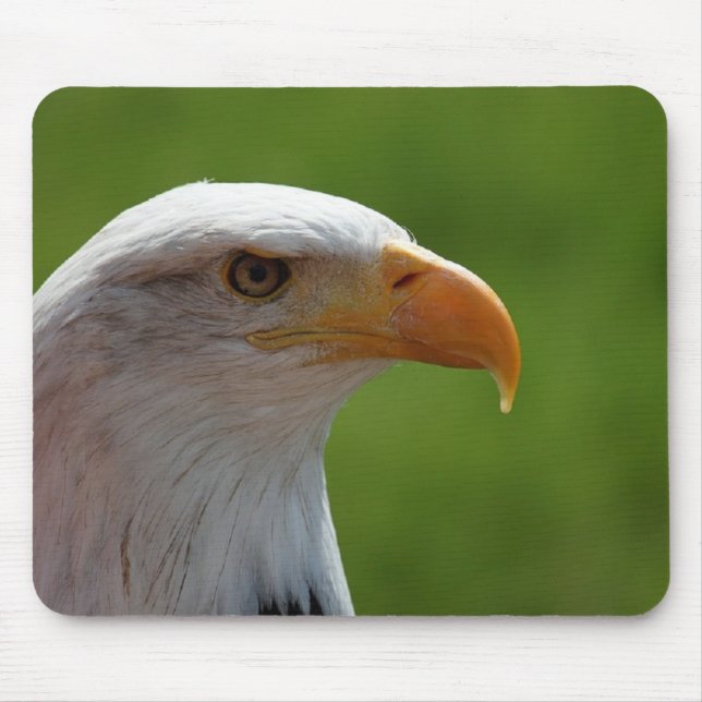 Mousepad Águia-careca (Frente)
