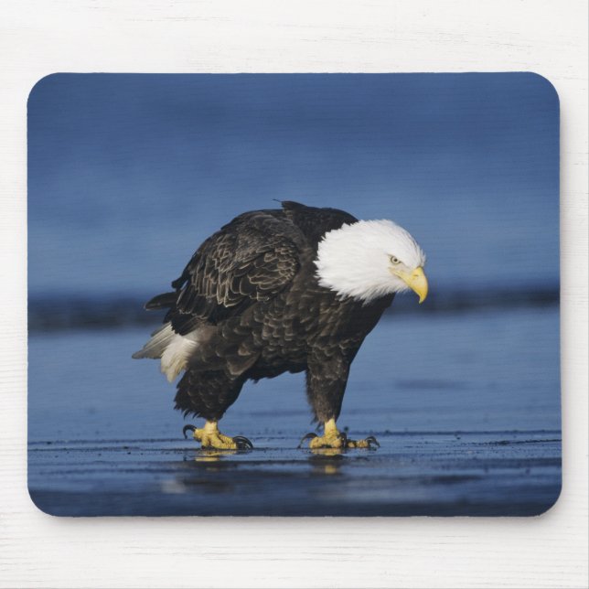 Mousepad Águia-careca (Frente)