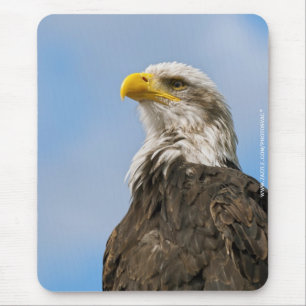 Mousepad Águia-careca