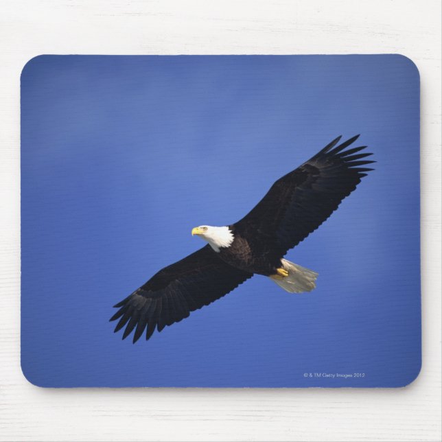 Mousepad Águia-careca em alta altitude, Alasca (Frente)