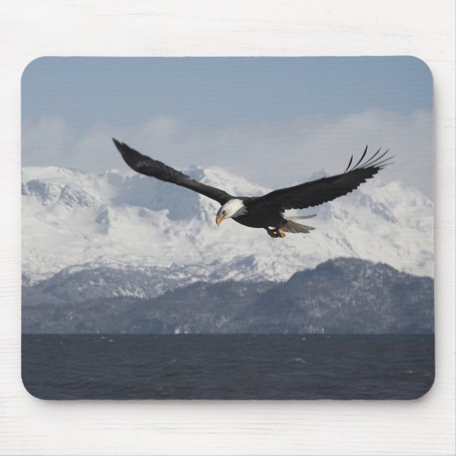 Mousepad Águia-careca em Voo, Haliaeetus leucocephalus, (Frente)
