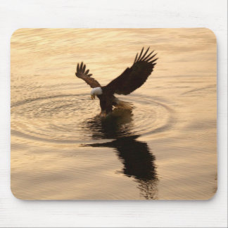 Mousepad Águia de Pesca