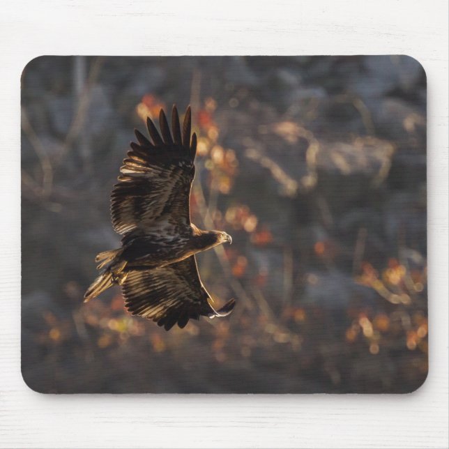 Mousepad Águia na Hora do Ouro (Frente)