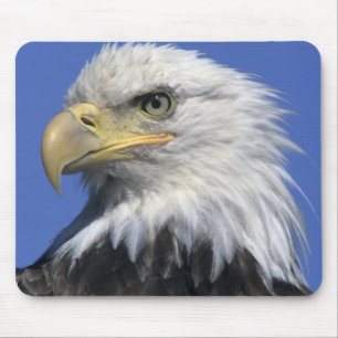 Mousepad Águia-pescadora-americana, (Haliaeetus leucocephal