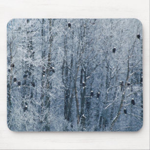 Mousepad Águias-americanas