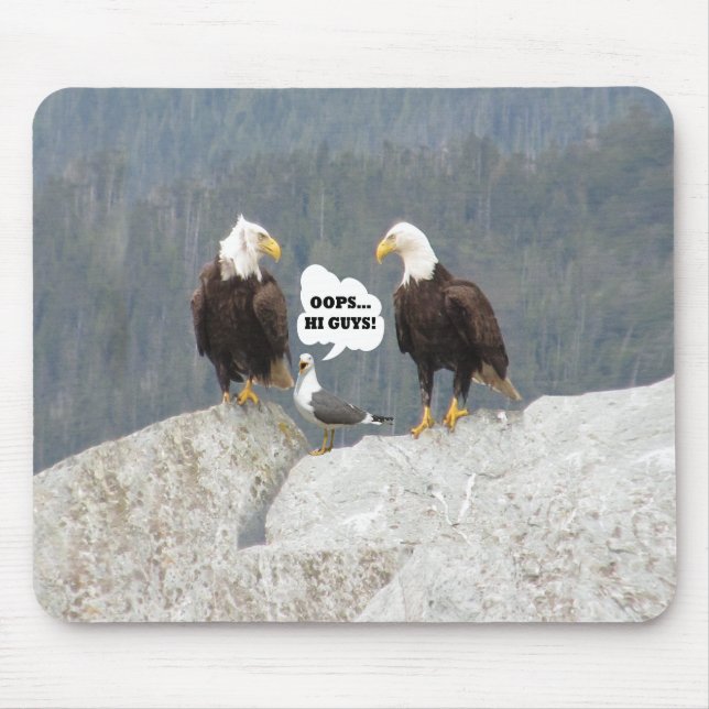 Mousepad Águias Engraçadas e Seagull (Frente)
