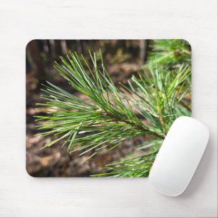 Mousepad Agulhas de Pinheiro ao Sol