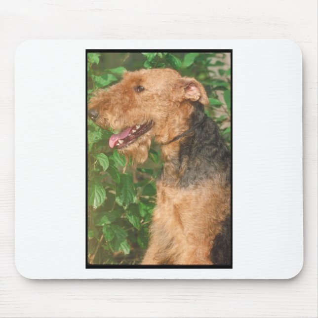 Mousepad Airedale Terrier (Frente)