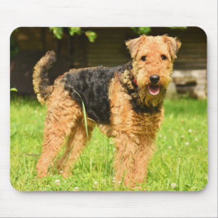 Mousepad Airedale Terrier Puppy Cão
