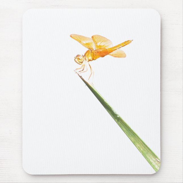 Mousepad Ala âmbar mexicana (Frente)