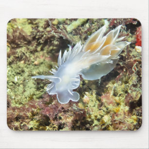 Mousepad Alabaster Nudibranch