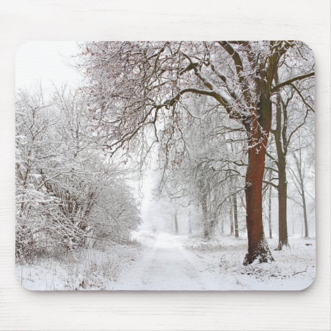 Mousepad Alameda de árvores | Parque de Stupinigi, Itália (Frente)