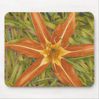 Mousepad alaranjado da nova