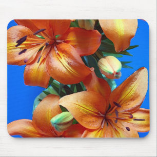 Mousepad alaranjado do impressão das flores do