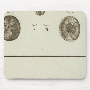 Mousepad Alasca