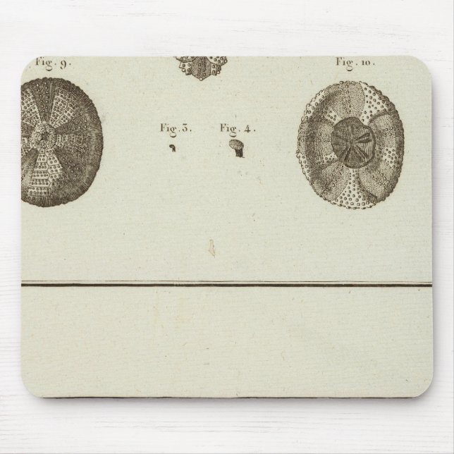 Mousepad Alasca (Frente)