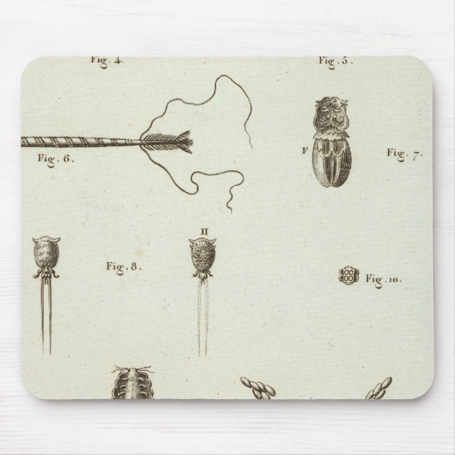 Mousepad Alasca 3 (Frente)