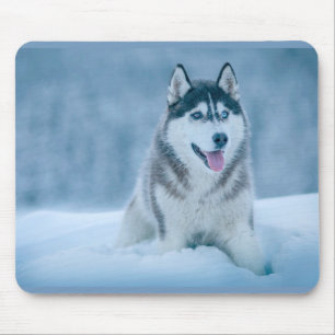 Mousepad Alaskan Malamute caminhando em campo de neve