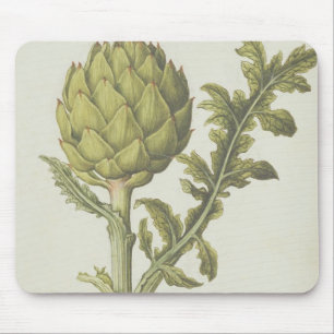 Mousepad Alcachofra: Scolymus do Cynara, c.1568