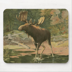 Mousepad Alce Andando na Água