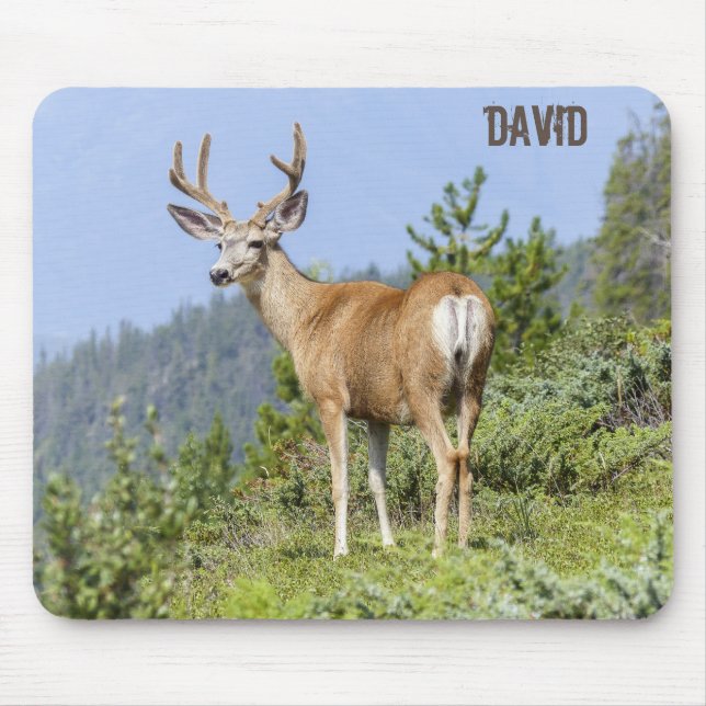 Mousepad Alce Cénico da Natureza  (Frente)