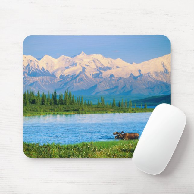 Mousepad Alce macho no Wonder Lake (Com mouse)