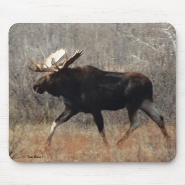 Mousepad Alce Touro M10 (Frente)