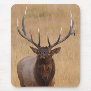 Mousepad alces