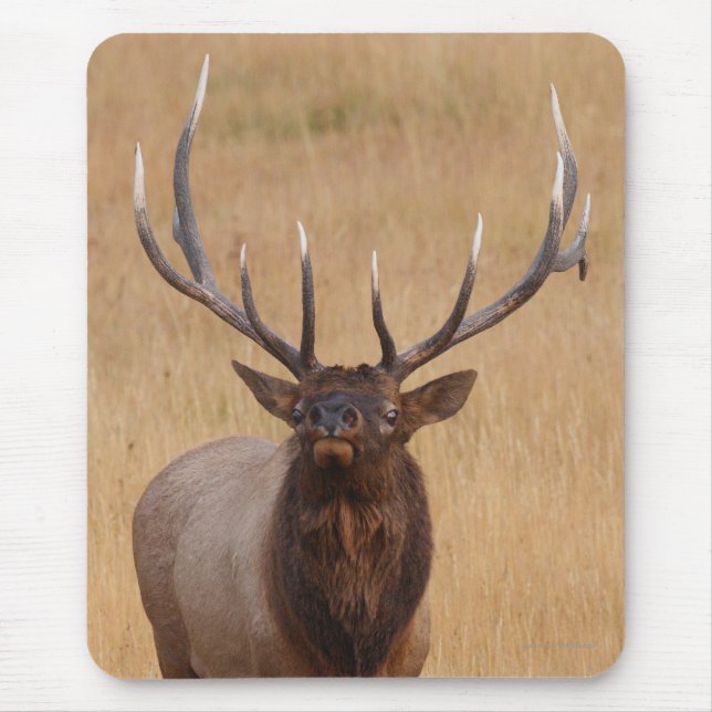 Mousepad alces (Frente)