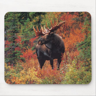 Mousepad alces