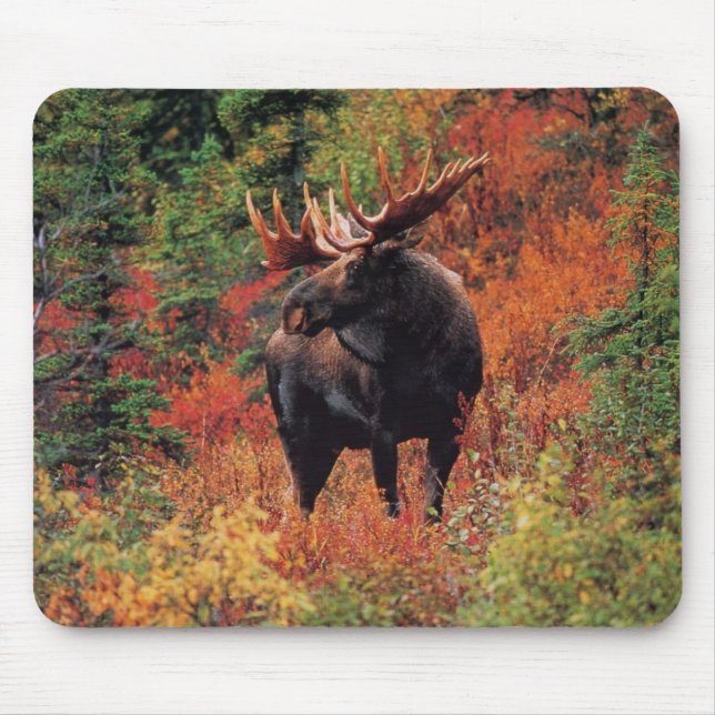 Mousepad alces (Frente)