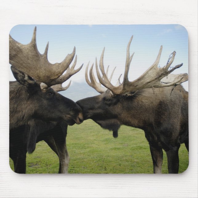 Mousepad Alces (Frente)